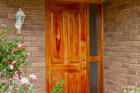 Property photo of 13 Cloak Place Old Beach TAS 7017