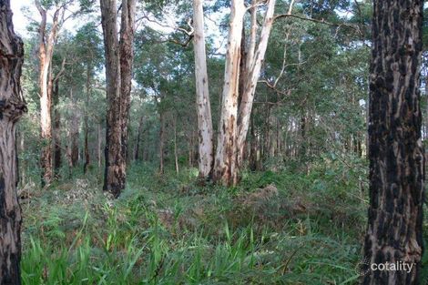 Property photo of 77 Plunkett Street Manjimup WA 6258