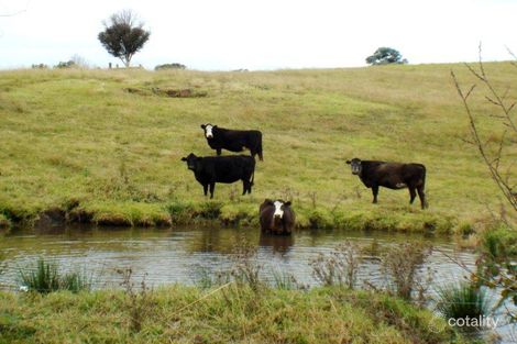 Property photo of 10 Haven Lane Toothdale NSW 2550