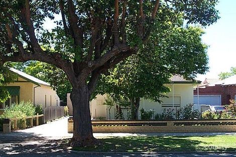 6 Faraday St, Mount Hawthorn, WA 6016