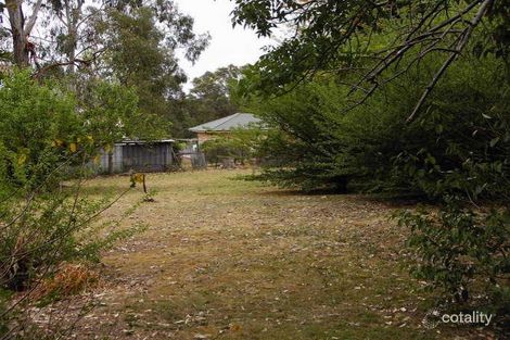 Property photo of 11 Albert Avenue Thirlmere NSW 2572