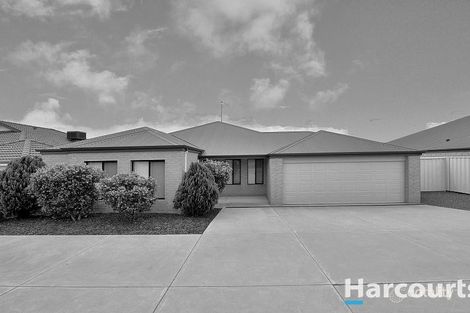 14 Dalwallinu Tce, Dawesville, WA 6211