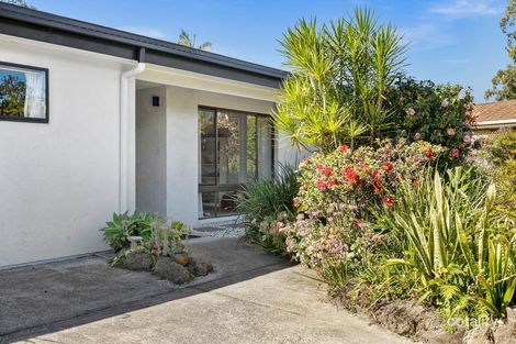 Property photo of 14 Gilba Avenue Ocean Shores NSW 2483