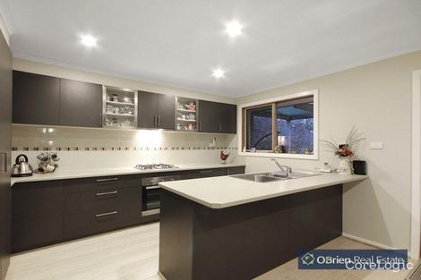 Property photo of 7 Bittern Drive Endeavour Hills VIC 3802