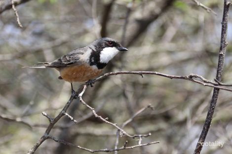 Property photo of 96 Gilbard Road Sugarloaf QLD 4380