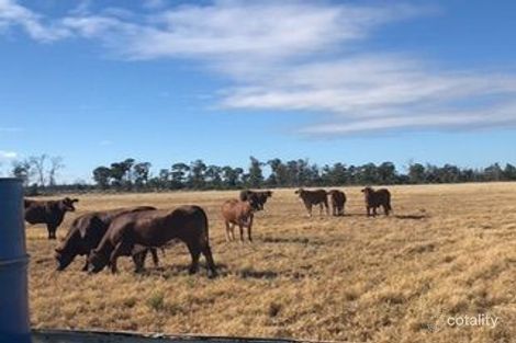 31850 Cunningham Hwy, Goondiwindi, QLD 4390