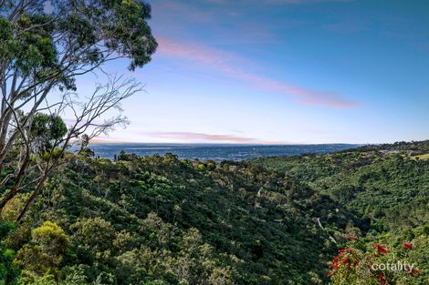 Property photo of 3 Whitbread Grove Skye SA 5072