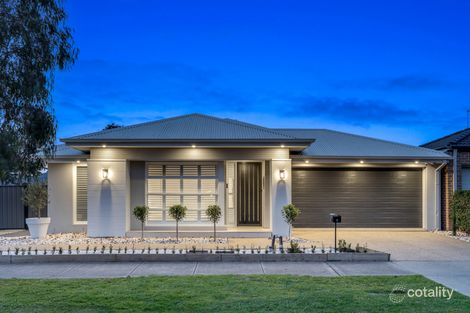 8 Whitfield Cres, Craigieburn, VIC 3064