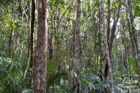 Lot 63 Danbulla Rd, Danbulla, QLD 4872