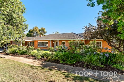Property photo of 107 Sunshine Avenue Hove SA 5048