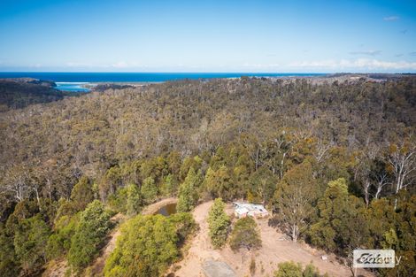 Property photo of 866 Reedy Swamp Road Chinnock NSW 2550
