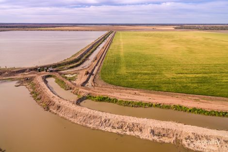 1297 South Toobeah Rd, Toobeah, QLD 4498