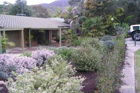 1 Cooinda Cres, Athelstone, SA 5076