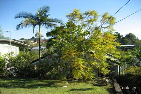 Property photo of 19 Olive Grove Balmoral QLD 4171