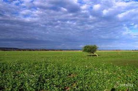 9 Carson St, Mullewa, WA 6630