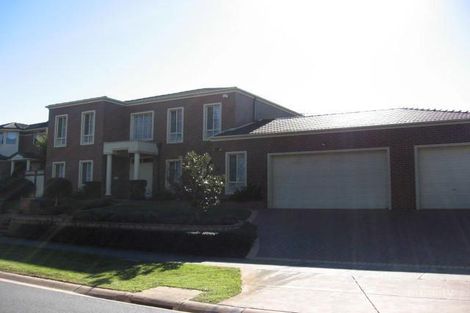 61 Avendon Bvd, Glen Waverley, VIC 3150