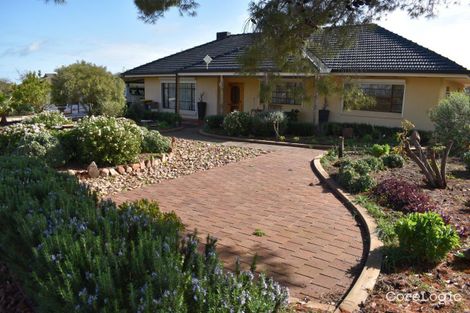 Property photo of 6 Oaks Road Napperby SA 5540