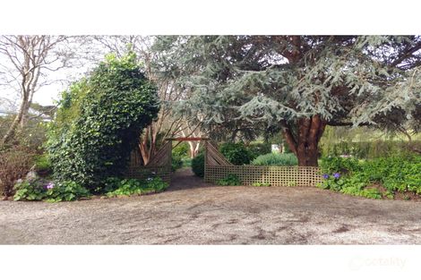 5 Youngs Rd, Irishtown, TAS 7330