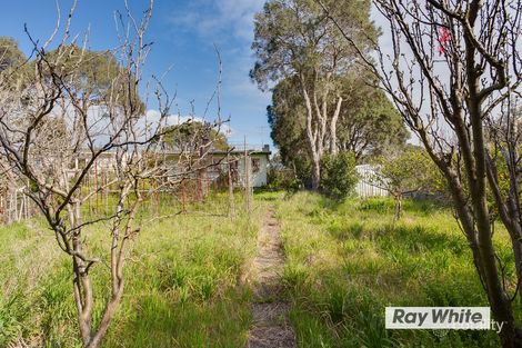 Property photo of 19 Dunham Street Rye VIC 3941