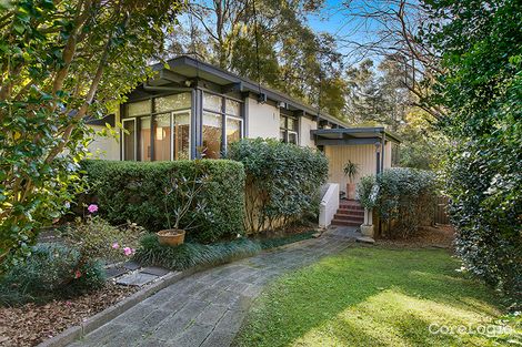 Property photo of 14 Woolcott Avenue Wahroonga NSW 2076