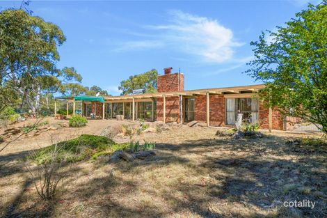 384 Scotts Rd, Binjura, NSW 2630