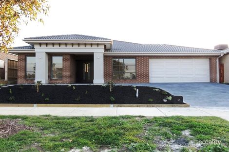 12 Pomaderris Dr, Mernda, VIC 3754