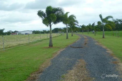 42 New Harbourline Rd, Martyville, QLD 4858