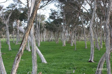 Property photo of 1590 Bass Highway Grantville VIC 3984