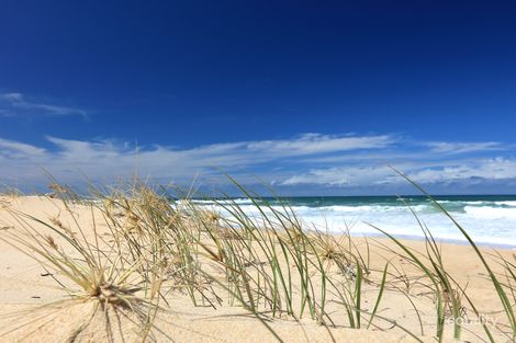 Property photo of 119 Oceanic Drive Warana QLD 4575