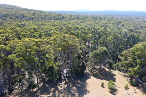 Lot 1 Bridport Rd, Pipers River, TAS 7252