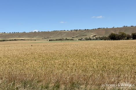 407/408 Hills Rd, Robertstown, SA 5381