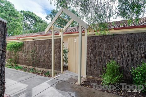 Property photo of 3/11 Bevington Road Glenunga SA 5064