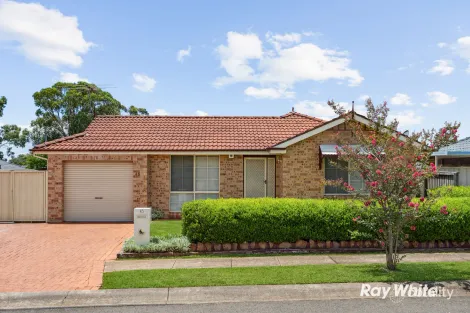 Property photo of 45 Rathmore Circuit Glendenning NSW 2761