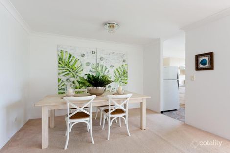 Property photo of 6/1 Avon Road Dee Why NSW 2099
