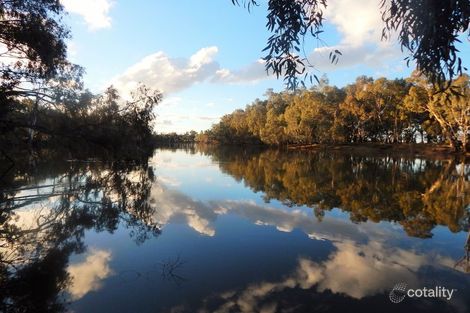 899 River Rd, Murrabit West, VIC 3579