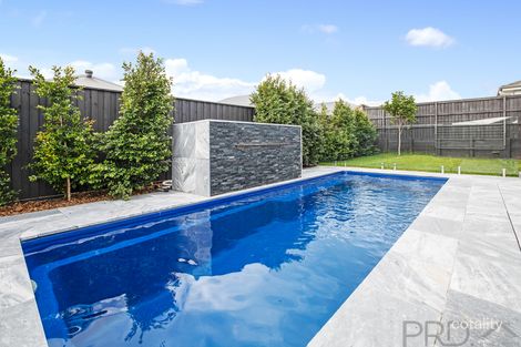 Property photo of 13 Percher Street Chisholm NSW 2322