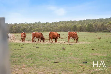 93 Douglas Rd, Lefroy, TAS 7252