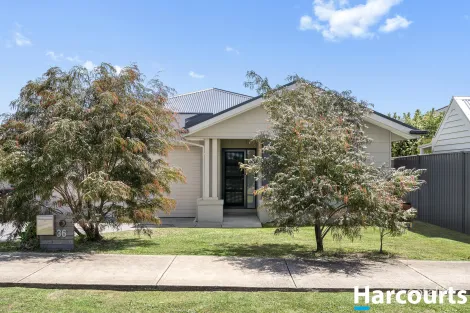 Property photo of 36 Sailfish Crescent Curlewis VIC 3222