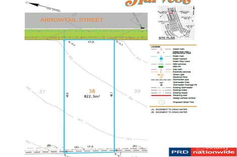 Property photo of 38 Arrowtail Street Chisholm NSW 2322