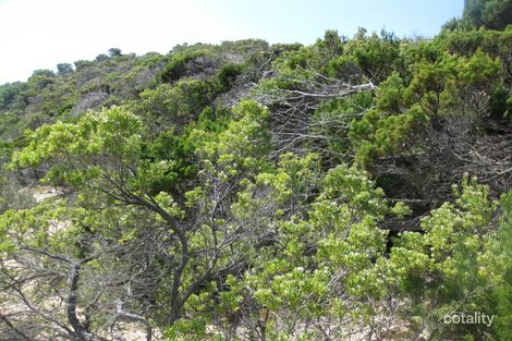 Lot 4 Mouth Flat Rd, Willson River, SA 5222