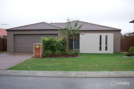 Property photo of 56 Kakadu Street Parkinson QLD 4115