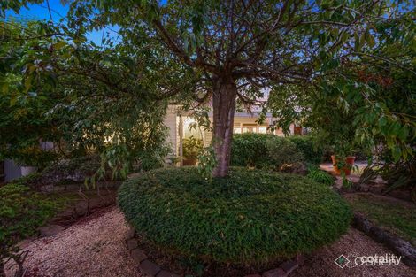 Property photo of 19 Ricky Court Mooroolbark VIC 3138