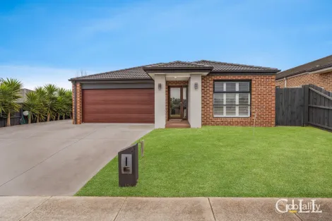 8 Saxon Rd, Drouin, VIC 3818