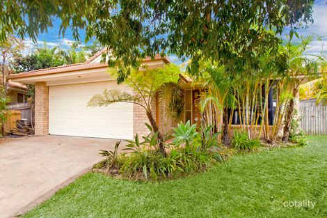 Property photo of 8 Tree Fern Close Coffs Harbour NSW 2450