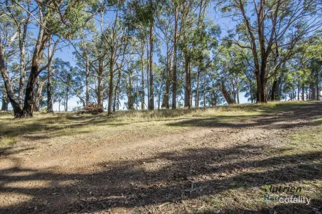 Property photo of 52 High Street Yea VIC 3717