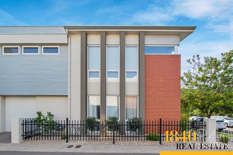 42 Jeffcott Ave, Lightsview, SA 5085