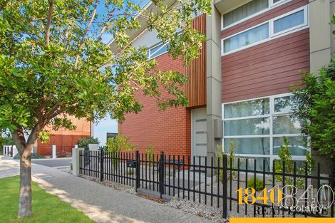 Property photo of 42 Jeffcott Avenue Lightsview SA 5085