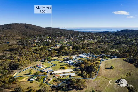 Property photo of 41 Boundary Road Maldon VIC 3463