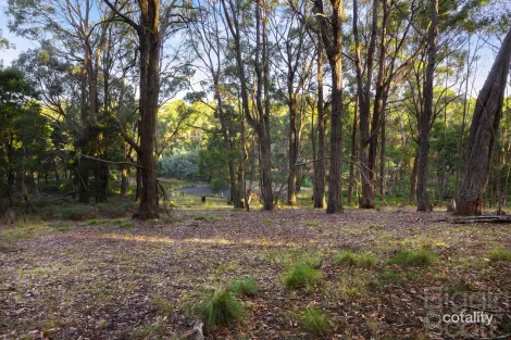 Property photo of 51 Mains Road Denver VIC 3461