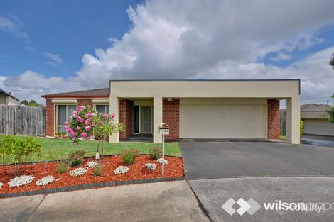 16a Cedar St, Traralgon, VIC 3844